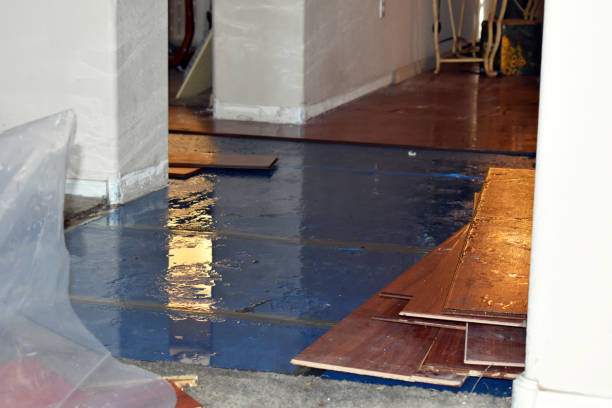 Professional Storm Water Damage Restoration technician working in Peebles, OH